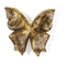 FB281 Flutterbyes Collection Knob 2-1/4" x 2-1/4" (Special Order Only)